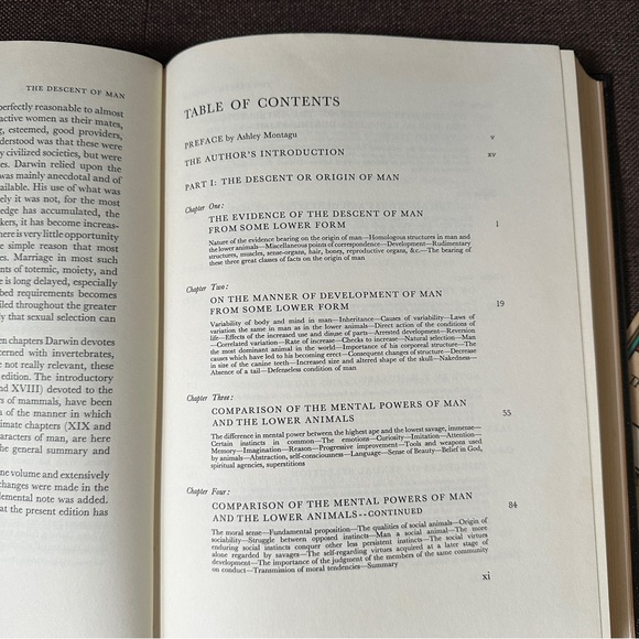 The Odyssey • Homer | Collector’s Edition - Picture 7 of 15